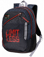 Рюкзак школьный Safari 43x29x16 см 22-201L-3