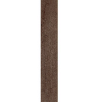 Плитка Allore Group Newcastle Brown F PR R Mat 19,8x120 