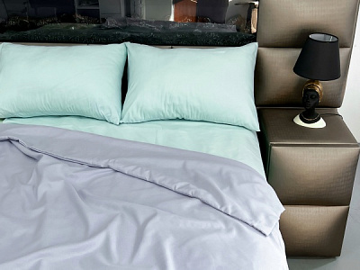 Комплект постільної білизни Le Colore 1.5 трав'яний La Nuit