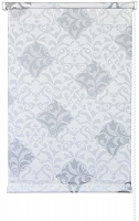 Ролета міні Delfa Футура 48x170 см біло-срібляста 