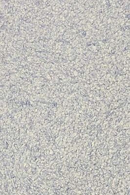 Жидкие обои Bioplast 8742 1 кг 