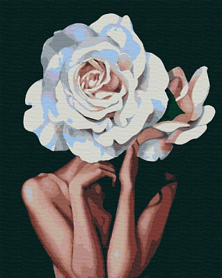 Набор живопись по номерам Осветительная 40х50 см Riviera Blanca 