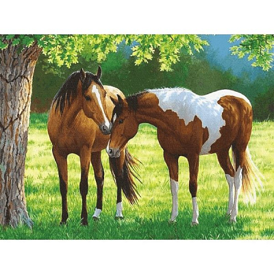 Холст на картоне с контуром Животные 6 30х40 см Rosa Start 