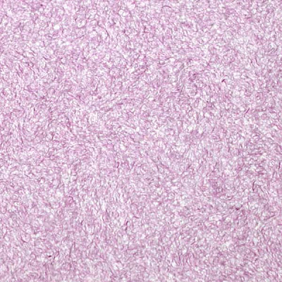 Рідкі шпалери Bioplast 113 1 кг