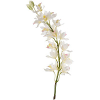 Искусственное растение Орхидея белая 105 см