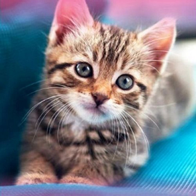 Набор для творчества со стразами на подрамнике Малышка 30x30 см Діамантові ручки 