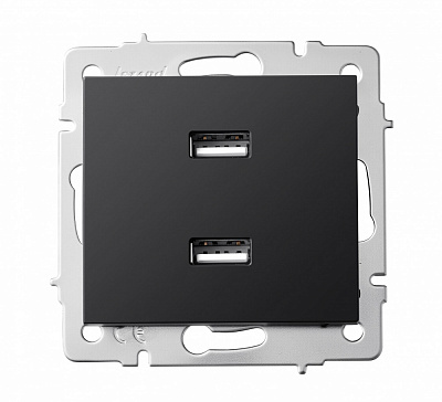 Механізм розетки USB Lezard Rain антрацит 703-4288-192