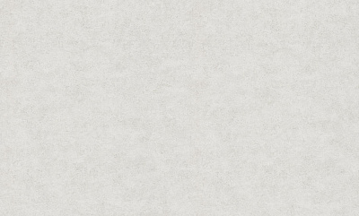 Обои виниловые на флизелиновой основе Bravo 81116BR01 1,06x10,05 м