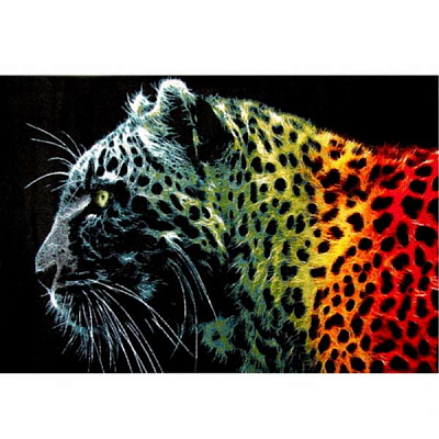 Килим Карат Kolibri 11016/180 1.6x2.3 м