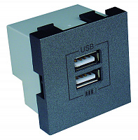 Розетка USB двойная Efapel Logus 2А без крышки черный матовый 21384 TPM