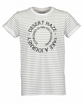 Футболка детские Blue Seven р.140 белый 602768 X_001_р.140 