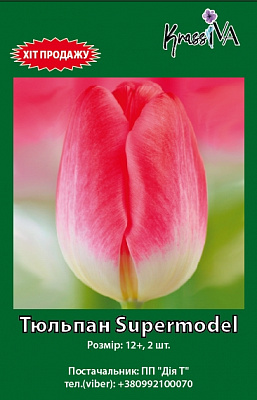 Луковица KrassIVA тюльпан Supermodel 2 шт. 