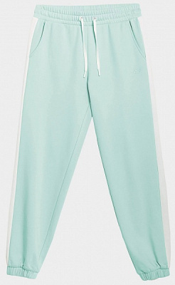 Брюки 4F D4L21-SPDD222-47S р. XL белый