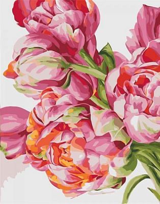 Картина по номерам Своенравные пионы Идейка 