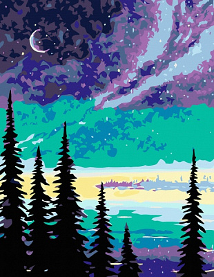 Набор, техника акриловая живопись по номерам Зимний пейзаж 3 35х45 см Rosa Start 