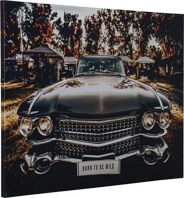 Картина Форсаж 113x85 см Styler CA-13051