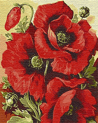 Картина за номерами Маковий цвіт 13129-AC 40х50 см ArtCraft