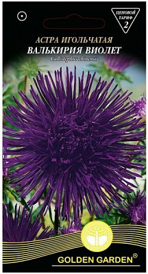 Насіння Golden Garden айстра голчаста Валькірія віолет 0,25 г