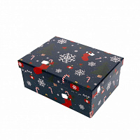 Коробка подарочная с носочками 23х16,5 см 1110230303