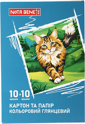 Набор цветного картона и бумаги Nota Bene глянцевый А4 (10+10 листов)