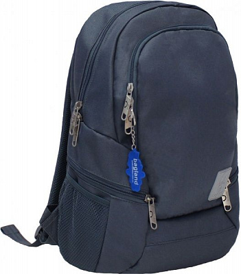 Рюкзак Bagland Урбан 30х44х15 см 53066 Серый