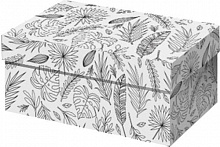 Коробка раскраска тропики