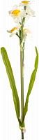 Рослина штучна Нарцис 1853 ORW