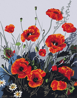 Картина по номерам Красочные маки 13105-AC 40х50 см ArtCraft 