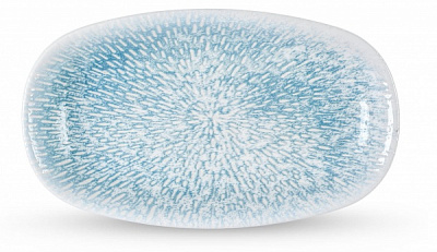 Блюдо овальное Coral Blue Graphics 20x11 см WL-671642 / A Wilmax 