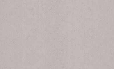 Шпалери вінілові на флізеліновій основі ASSORTI 81188AS29 1,06x10,05 м