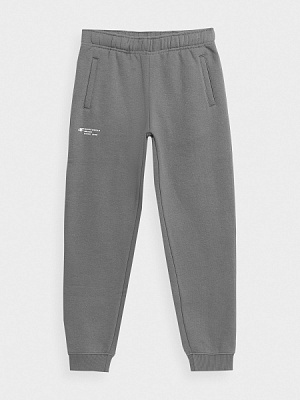 Штани 4F TROUSERS CAS M556 4FJSS23TTROM556-25S р. 164 сірий