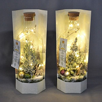 Тераріум новорічний в бутилці зі світлом рослини мікс 15х40 см