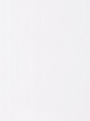 30x40 см Rosa Talent 