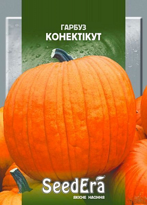 Насіння Seedera гарбуз Конектікут 20г