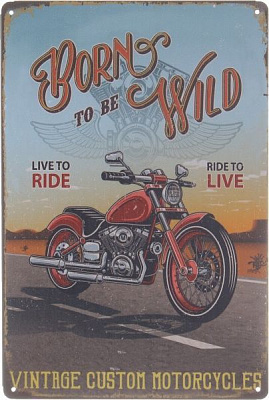 Табличка жерстяна друкована Born wild 30x20 см різнокольоровий