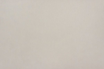 Шпалери вінілові на флізеліновій основі Vinil Колібрі ДХН-1430/2 1,06x10,05 м