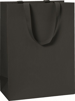 Пакет подарочный One Colour black 25x13x36 см STEWO