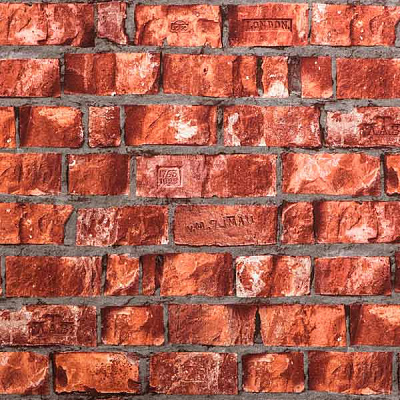 Шпалери зі спіненого вінілу ASSORTI тип 773 932AS35 1,06x10,05 м