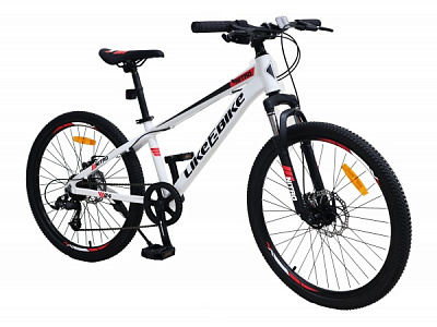 Велосипед 24