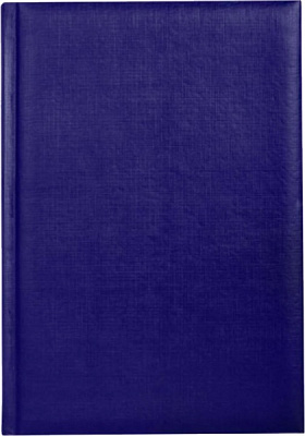 Щоденник недатований BASIC синій Economix A5