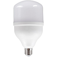 Лампа світлодіодна Светкомплект 25 Вт T100 матова E27 220 В 6000 К 