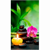 Обогреватель пленочный Trio Гармония