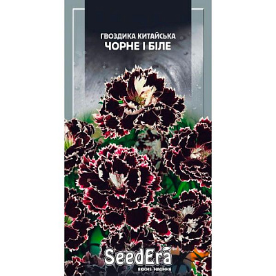 Насіння Seedera гвоздика китайська Чорне і біле 0,1 г