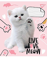 Зошит шкільний Live love meow А5/12 в косу лінію YES