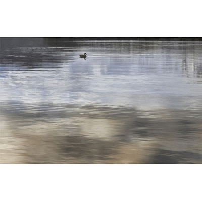 Декор Golden Tile Wanaka №6 171361 250x400 мм бежевий