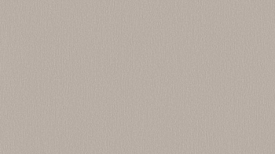 Шпалери вінілові на флізеліновій основі Sintra BOTANICA,TIMBERLAND UNI 524343 1,06x10,05 м