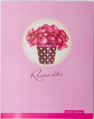 Папка з файлами А4 Sweet Dreams L6208 LEO