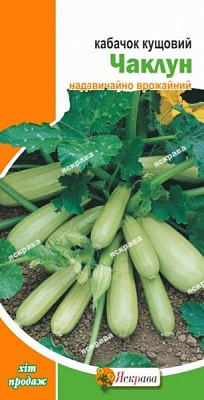 Насіння Яскрава кабачок Чаклун кущовий 3г (4823069800314)