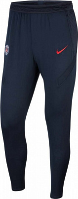 Штани Nike CD4973-475 р. L синій