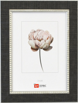 Рамка для фото Арт-Сервіс ЭА-01816 1 фото 21х30 см черный с серебряным 